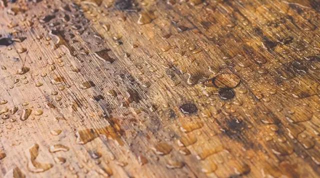 1551083906857914.jpg 微信图片_20190225163321.jpg